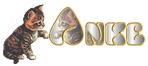 dieses Bild ist ein Geschenk von Linda